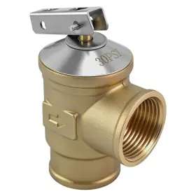 0342691 Dyseer 3/4 Inch Fnpt Female Inlet And Outlet 30 Psi Automatic Pressure Relief Valve F
