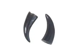 Ifa Store 691036959549 2 Pcs Bull Horns 7 Inch Tarros De Buey