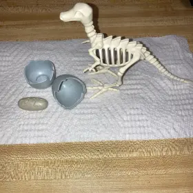 30512440 Playmobil - Dinosaur Fossil Skeleton Dino Base Camp 2003 And Egg With She Ll