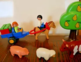 6620 Playmobil 1-2-3 Summer Meadow Complete Excellent Condition