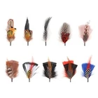 Hat Feathers, 10 Pcs Assorted Colors Sizes New. Price: $18.73.