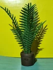 Playmobil Victorian Plant 5325 5300 5305 5323 5339 5320 Palm New!!! Used. Price: $6.30.