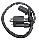 202401, Duzforei Ignition Coil With 135 X0049BZ91H New. Price: $35.00.