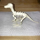 Playmobil - Dinosaur Fossil Skeleton 30512440 From 3184 Base Camp 2003 Used. Price: $18.00.