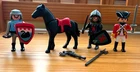 Playmobil 4873 Falcon Knight Horse Weapons Shield Swan + Red Coat Figure Used. Price: $18.99.