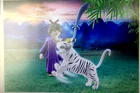 Playmobil,geisha,asian Lady With White Tiger,new In BOX,#70382. Price: $8.99.