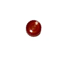 Playmobil 30021220 Replacement Parts Dino Rise 70925 3536 4311 4036 4039 4819 Used. Price: $15.99.