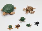 Playmobil Sea Turtle + Babies Zoo Aquarium Animal 70678 B10 Figure Lot Used. Price: $12.99.