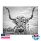 Stupell Industries Black White Highland Cow Photograph Canvas Wall Art New. Price: $18.40.