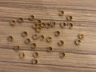 Playmobil Cuff Manchette Bracelets X30 3666 6000 3058 3795 3112 3888 4611 Used. Price: $11.25.