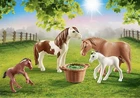 New Sealed Playmobil Country Ponies With Foals Set Horses 70682 Hard To Find!!. Price: $12.98.