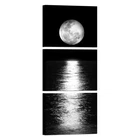 Artmyharbor Full Moon Phase Canvas Wall Vertical Black And White Picture ... New. Price: $50.95.